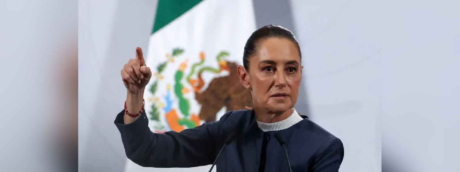 මෙක්සිකානු ජනපතිනියගෙන් එරට පොලීසියට පැමිණිල්ලක්